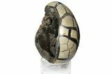Septarian Dragon Egg Geode - Black Crystals #123053-2
